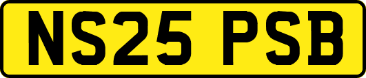 NS25PSB