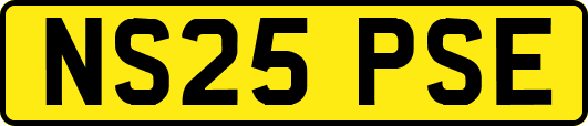 NS25PSE