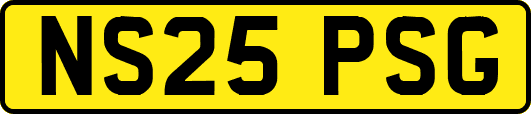NS25PSG