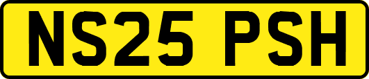 NS25PSH