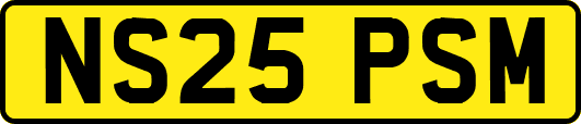 NS25PSM