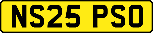 NS25PSO
