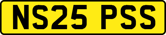 NS25PSS