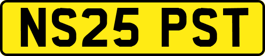 NS25PST