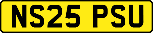 NS25PSU