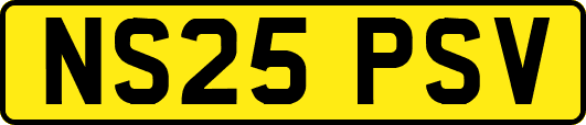 NS25PSV