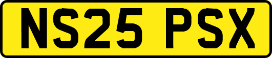 NS25PSX