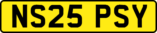 NS25PSY