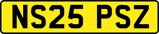 NS25PSZ
