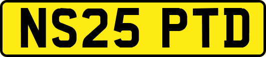 NS25PTD