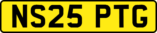 NS25PTG
