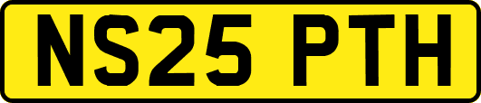 NS25PTH