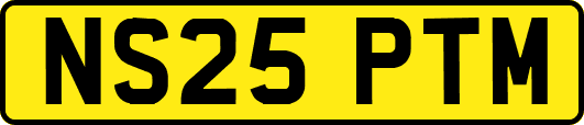 NS25PTM