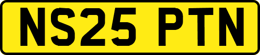 NS25PTN