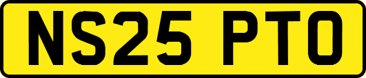 NS25PTO