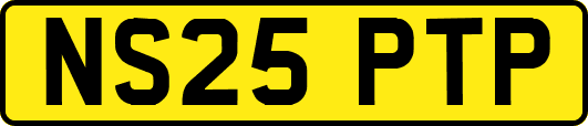 NS25PTP