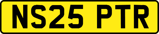 NS25PTR