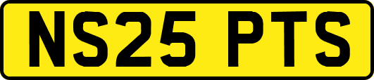 NS25PTS