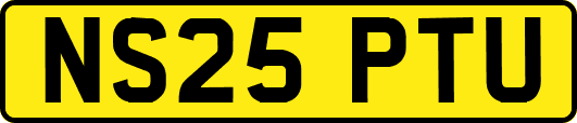 NS25PTU
