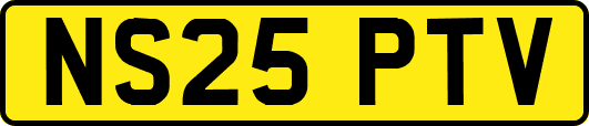NS25PTV