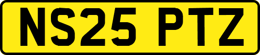 NS25PTZ