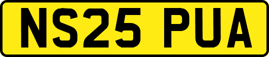 NS25PUA