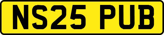 NS25PUB
