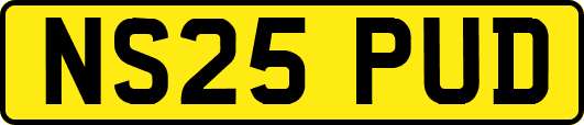 NS25PUD