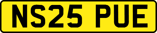 NS25PUE