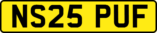 NS25PUF