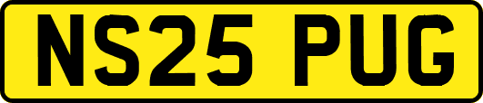 NS25PUG