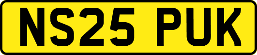 NS25PUK