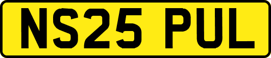 NS25PUL