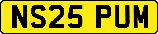NS25PUM