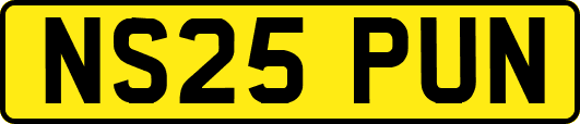 NS25PUN