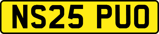 NS25PUO