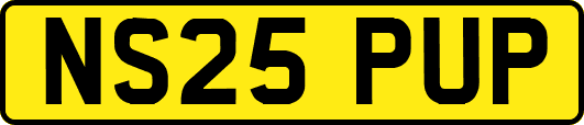 NS25PUP