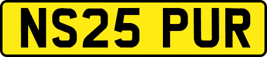 NS25PUR