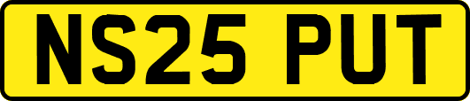 NS25PUT