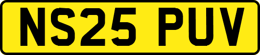 NS25PUV