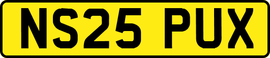 NS25PUX