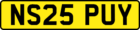 NS25PUY
