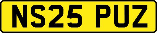 NS25PUZ