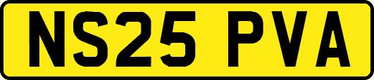 NS25PVA