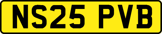 NS25PVB