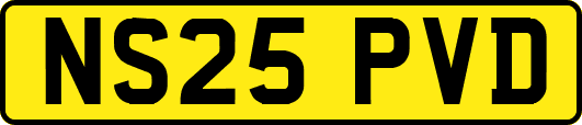 NS25PVD