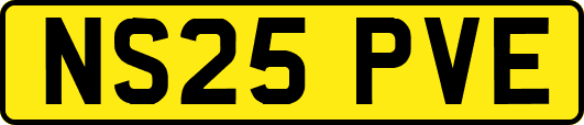 NS25PVE