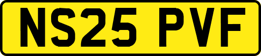 NS25PVF