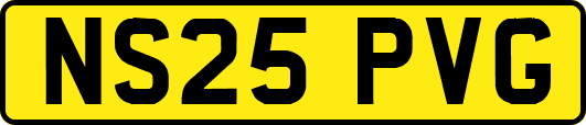 NS25PVG