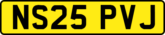 NS25PVJ